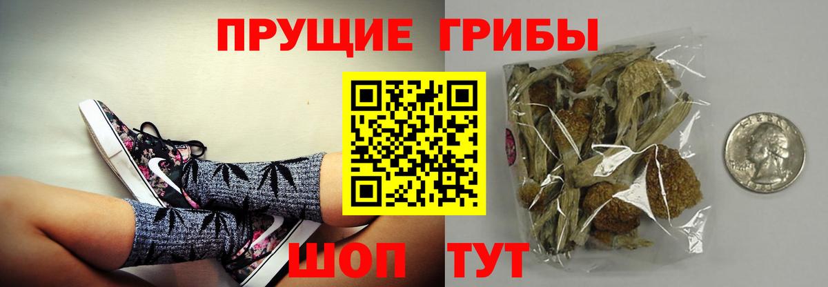 Псилоцибиновые грибы прущие грибы Каспийск